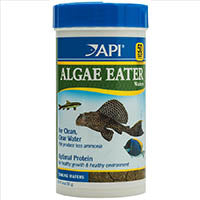 API Algae Eater