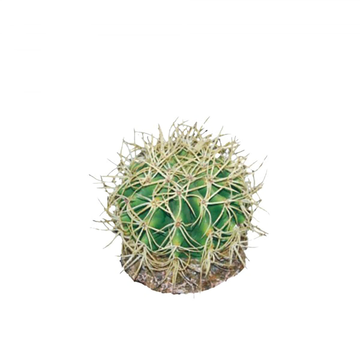 Eco Tech Pineapple Cactus 10cm - Artificial Plant