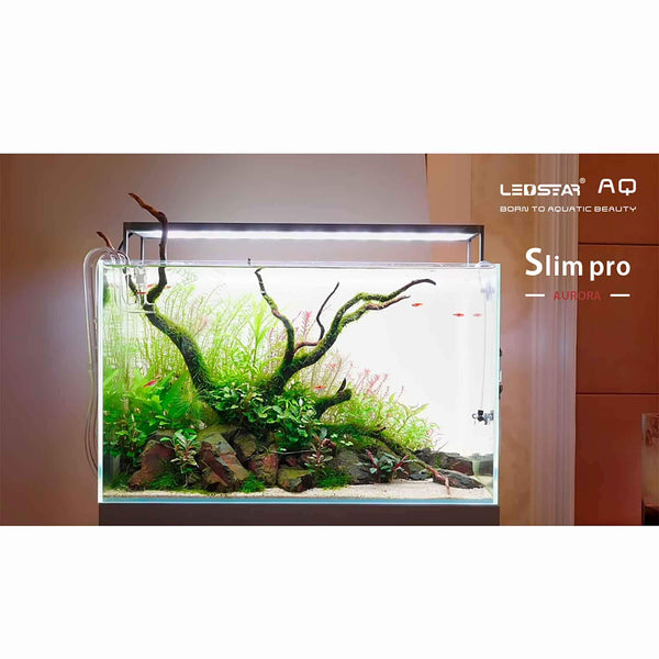 Ledstar_AQ-