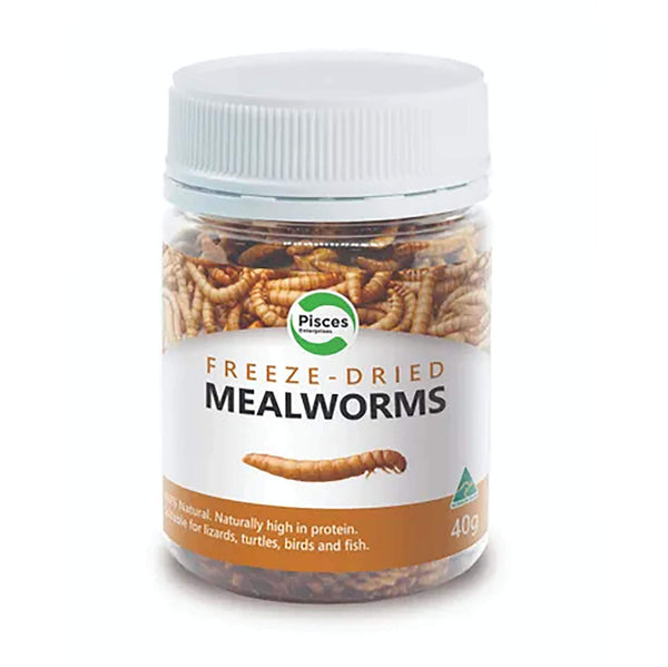 Pisces Freezedried Mealworms 40g The Tech Den
