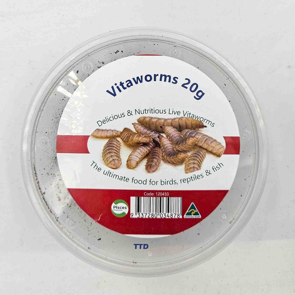 Pisces Vitaworms - 20g Live Food - In Store Pick Up Only
