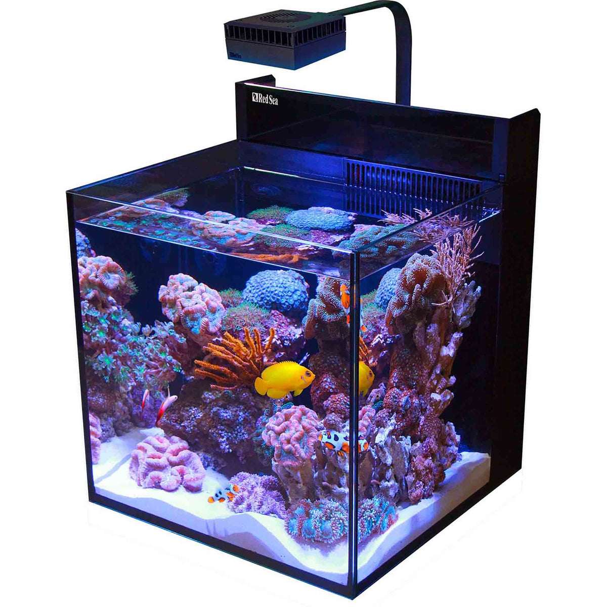 Red Sea Max Nano G2 XL - Instore Pick Up Only