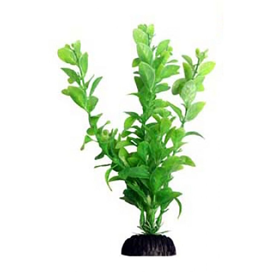Aqua One Ecoscape Medium Poly Hygro Green 20cm - Artificial Plant