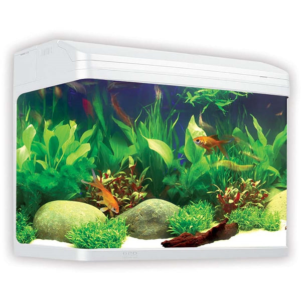 Aqua One AquaStyle 620 Aquarium White The Tech Den
