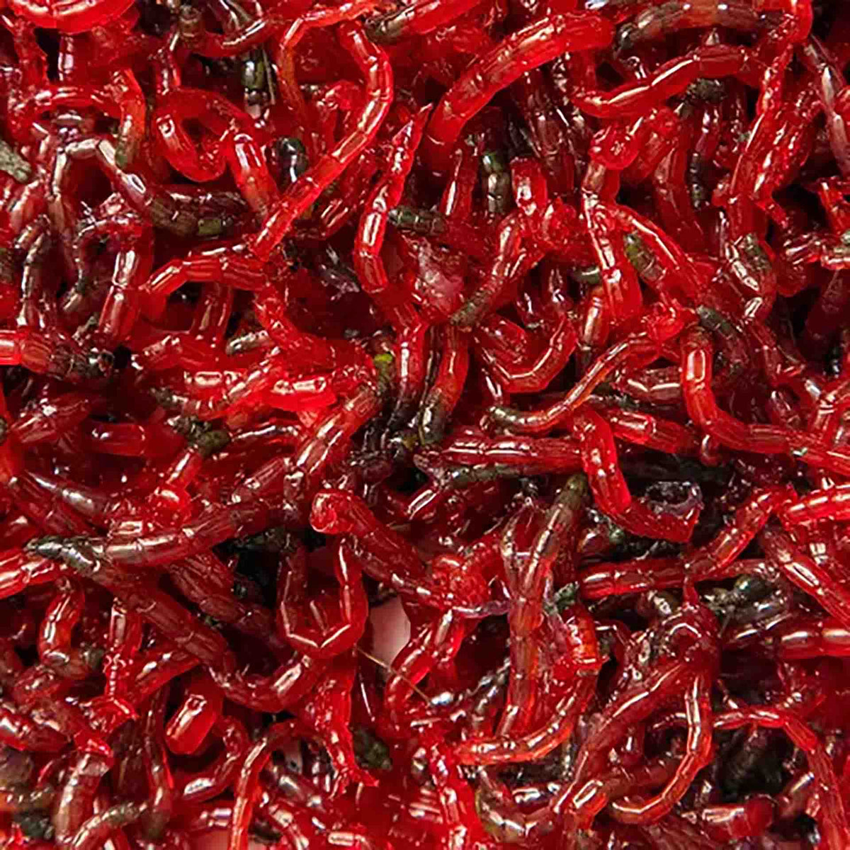 Aqua Natural Freeze Dried Bloodworms 26g