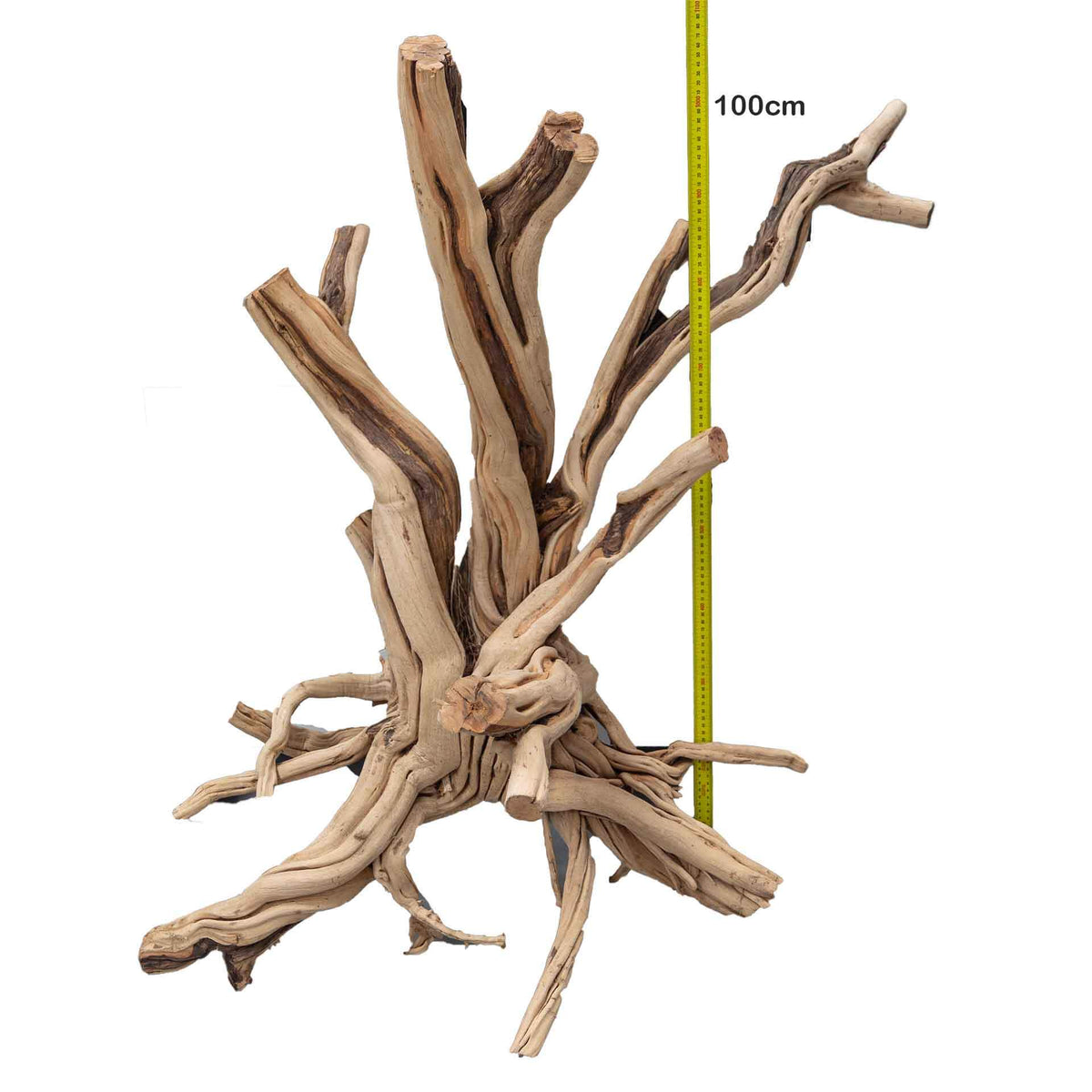 Aqua Natural Red Moore Driftwood Super 100cm+ - Instore Pick Up Only