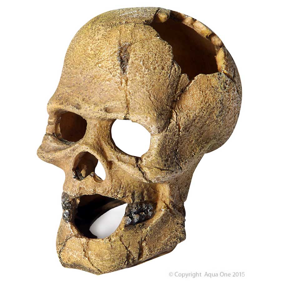 Aqua One Ornament Human Skull With Hole 13.5x9.5x13cm