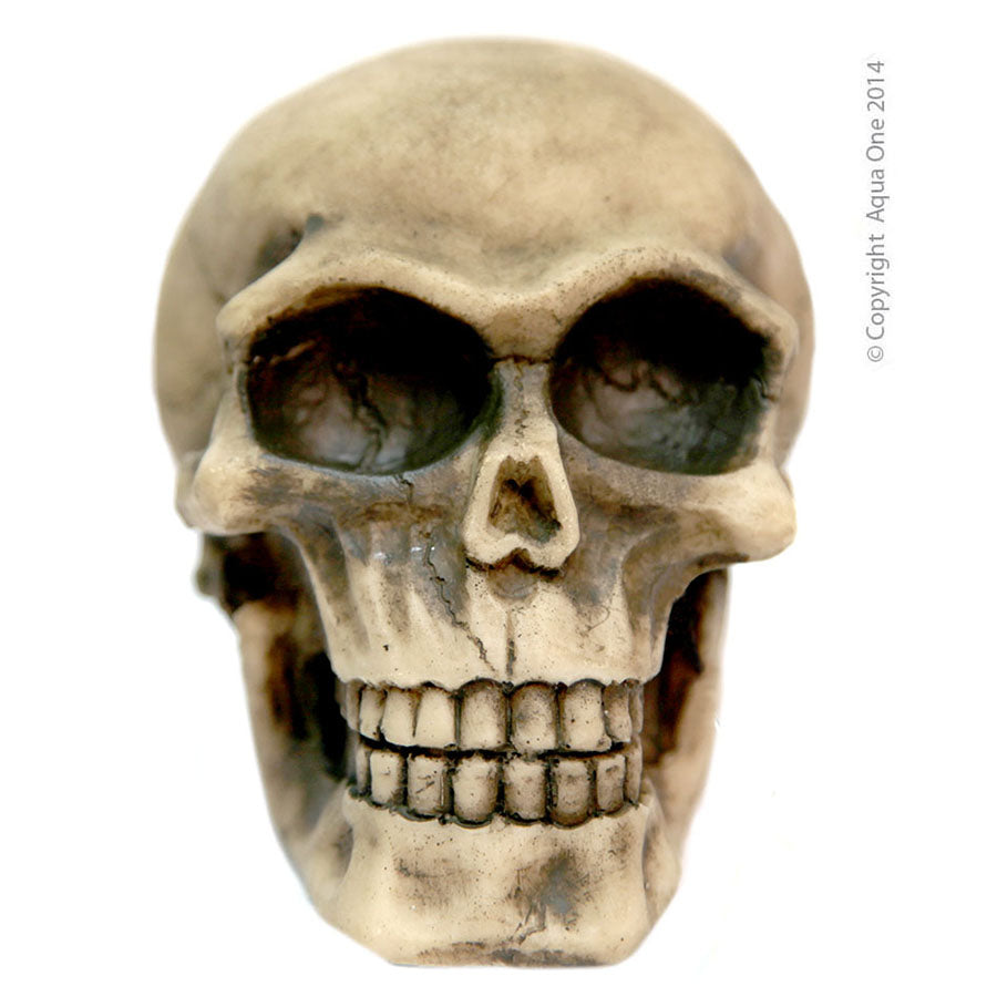 Aqua One Ornament Skull (L) 11.5x9x9cm