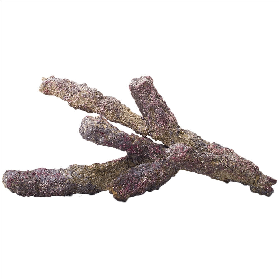 Carib Sea Life Rock Branch Rock - Sold Per 100g - In Store Pick Up Only