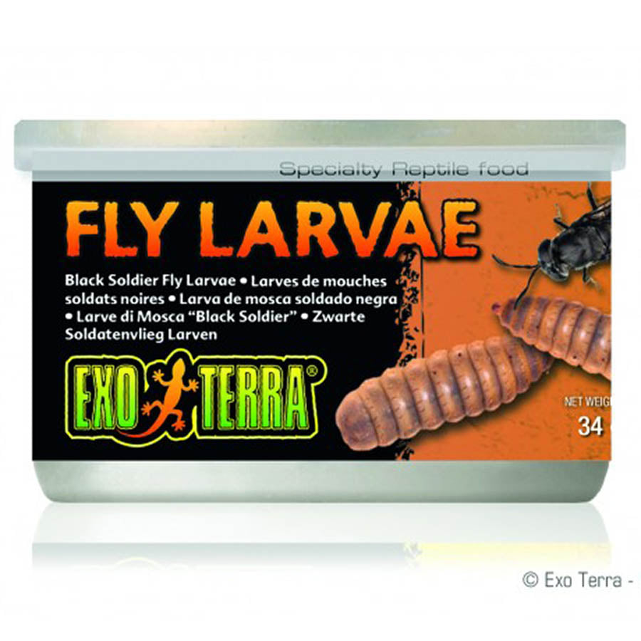 Exo Terra BSF Larvae 34g (Black Soldier Fly)