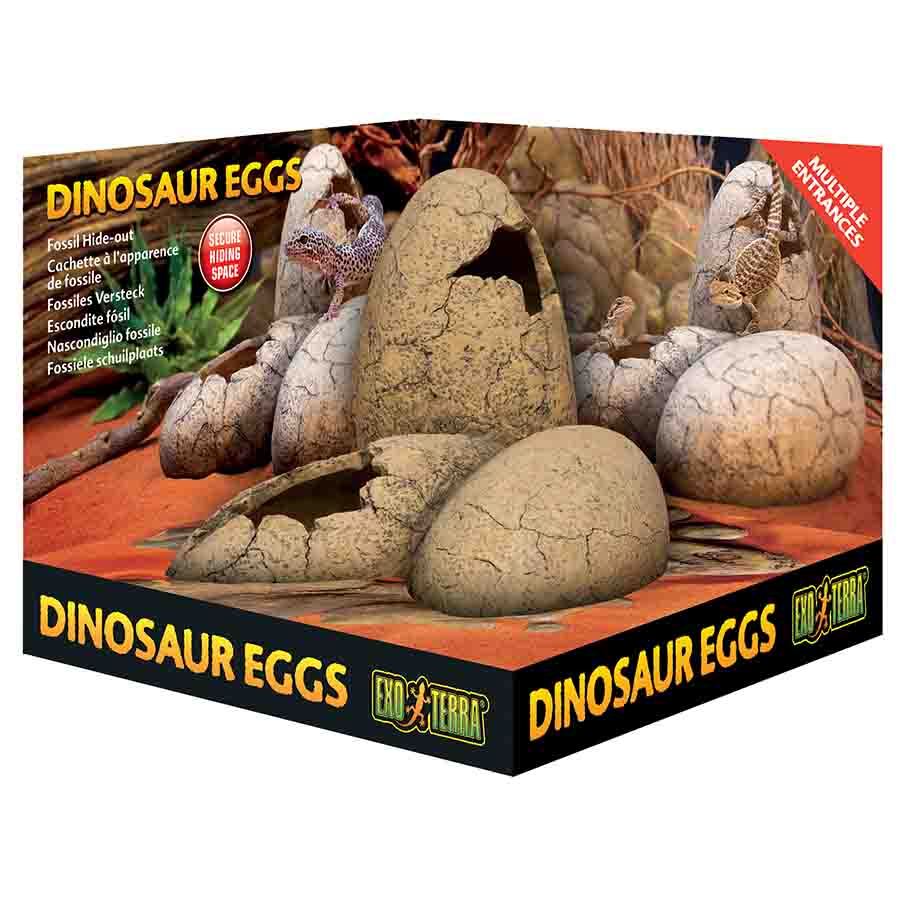 Exo Terra Dinosaur Eggs Hide Out - PT2841
