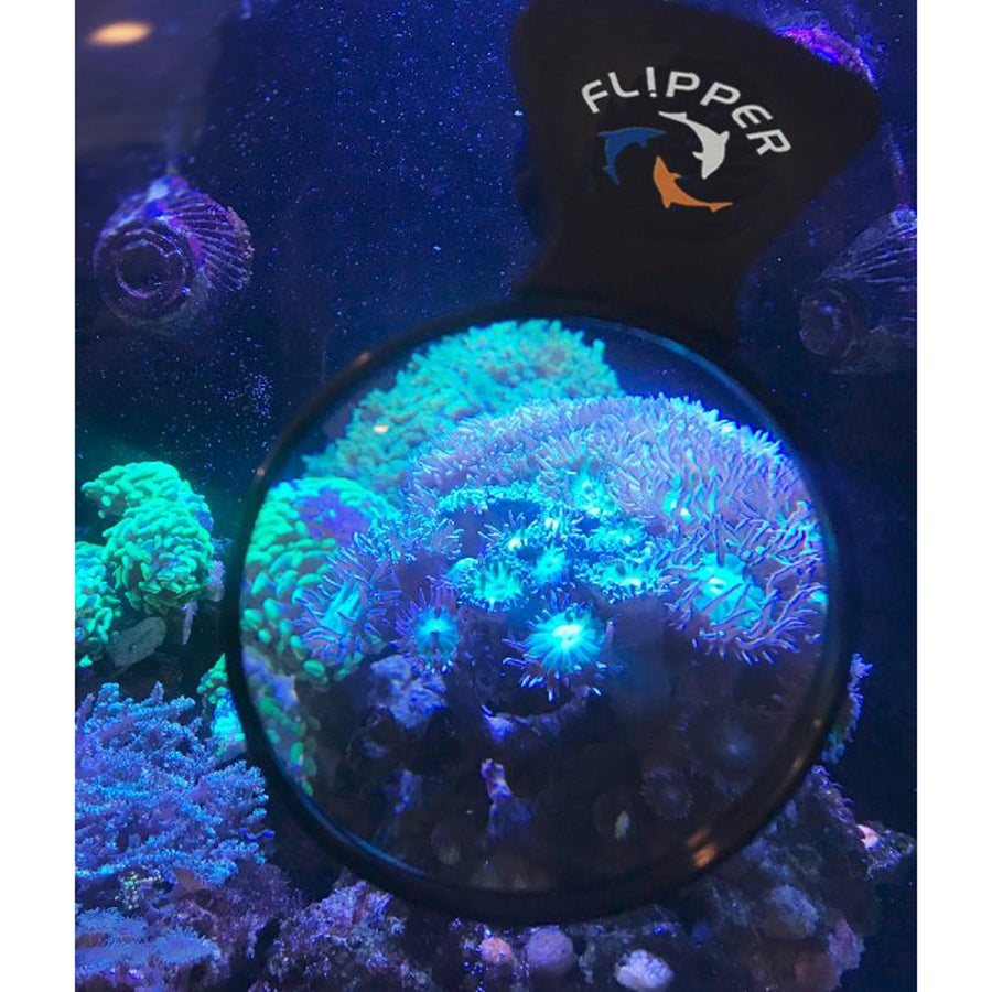 Flipper Deepsee Magnified Aquarium Viewer - 10cm - 4inch