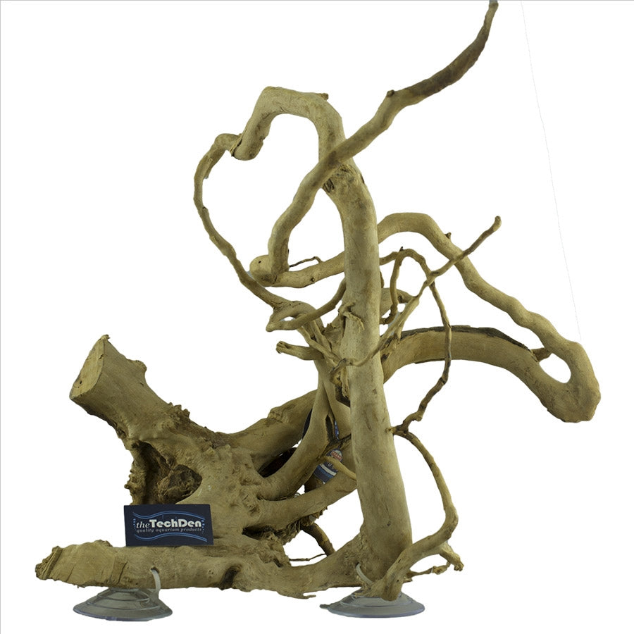 Natural Wood Gold Vine Extra Large 40-50cm with Suction Cup - In store Only
