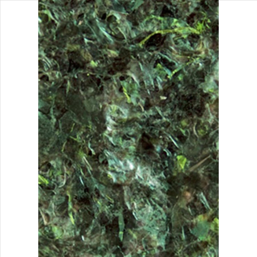 Ocean Nutrition Marine Green Algae Seaweed 50 Sheets