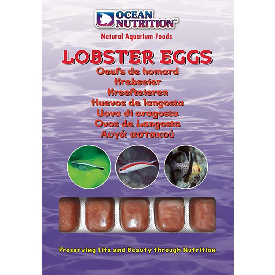 Ocean Nutrition Frozen Lobster Eggs - In Store Pick up only!
