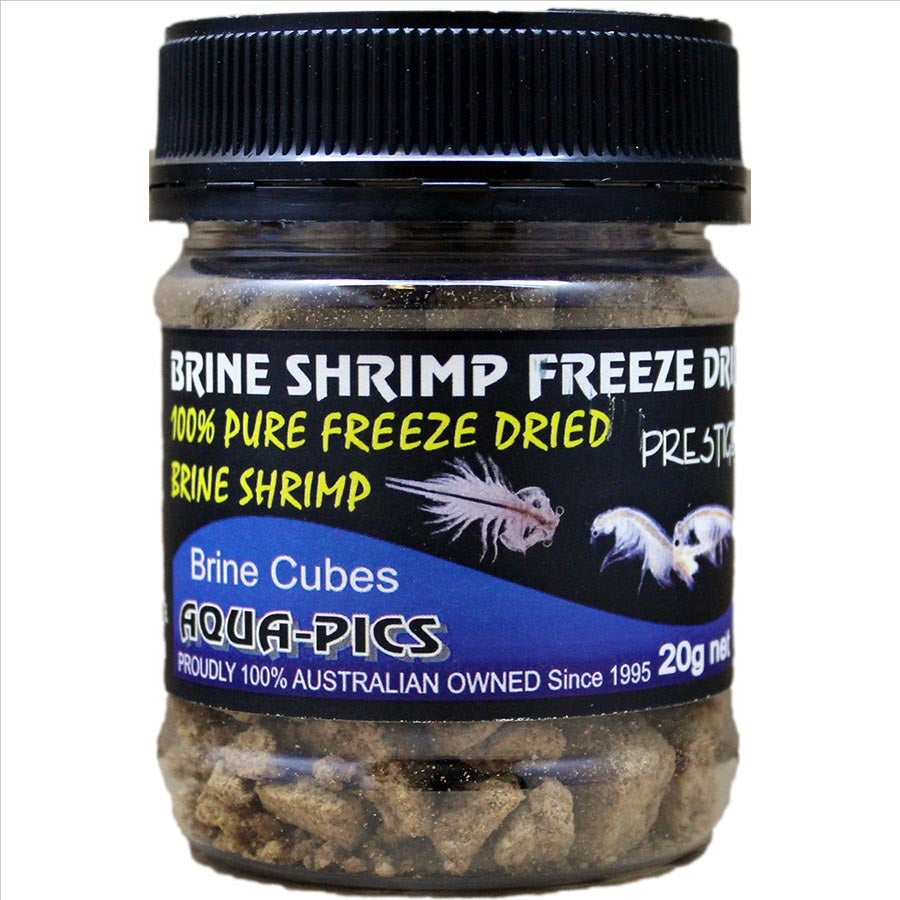 Aqua-Pics Freeze Dried Brine Shrimp 20g (Cubes)