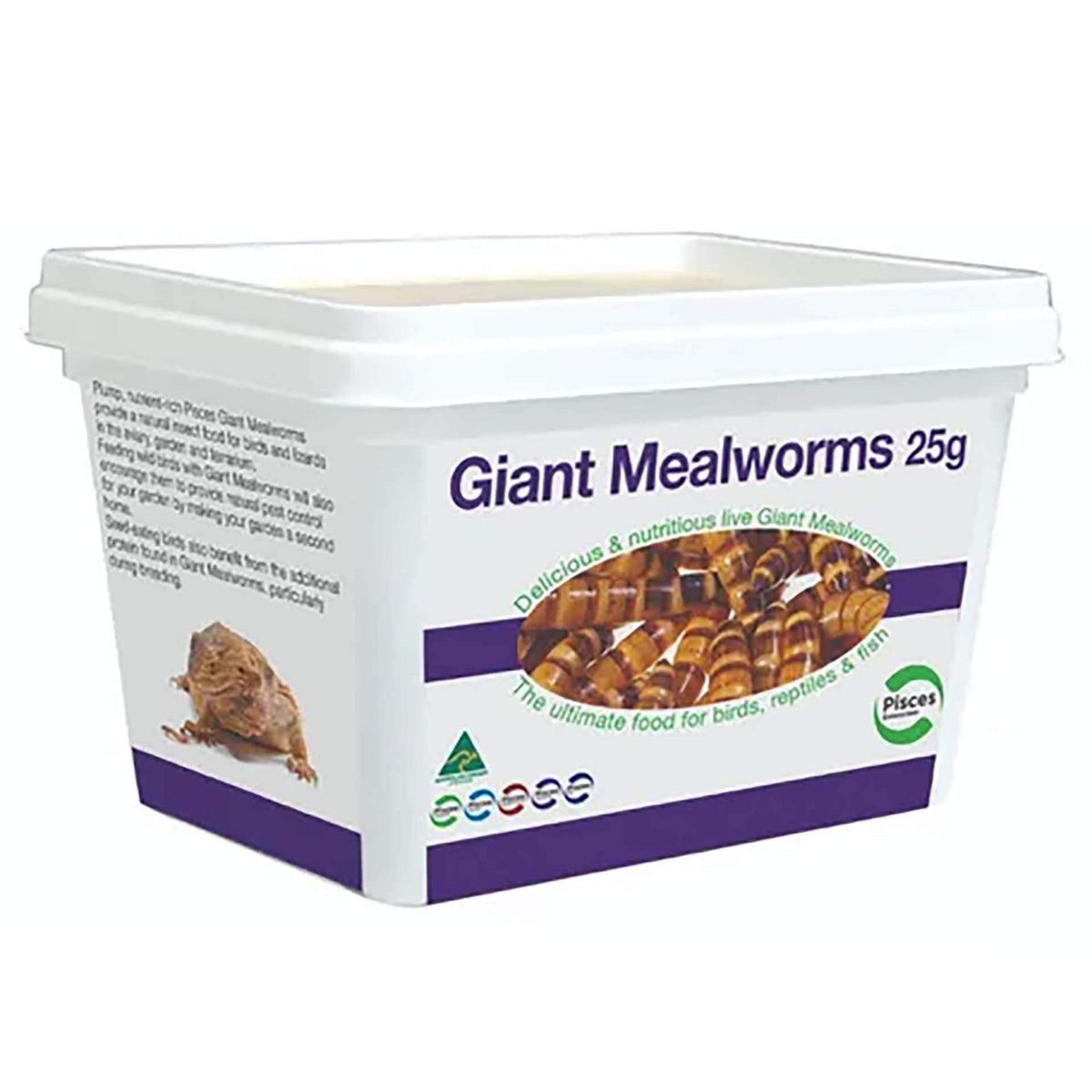 Pisces Giant Mealworms - 25g Live Food - In Store Pick Up Only