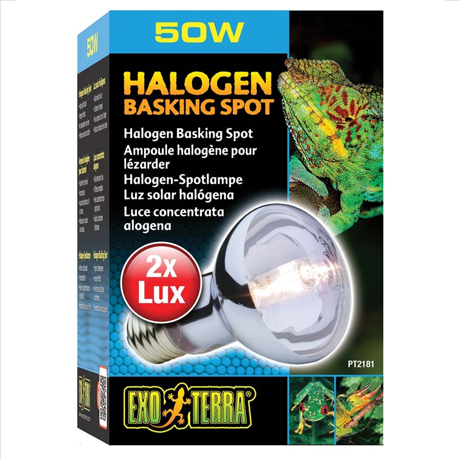 Exo Terra Halogen Basking Spot Lamp - 50 Watt