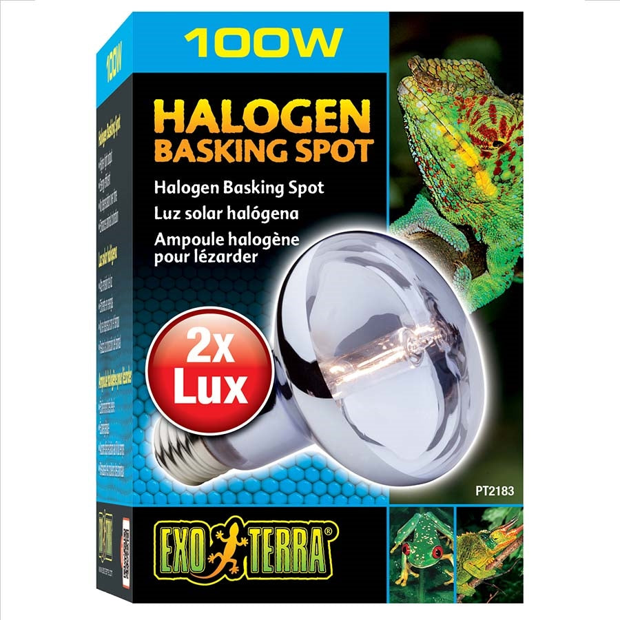 Exo Terra Halogen Basking Spot Lamp - 100 Watt