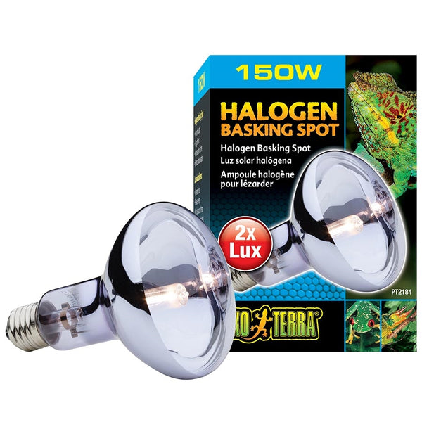 Exo Terra Halogen Basking Spot Lamp - 150 Watt - The Tech Den