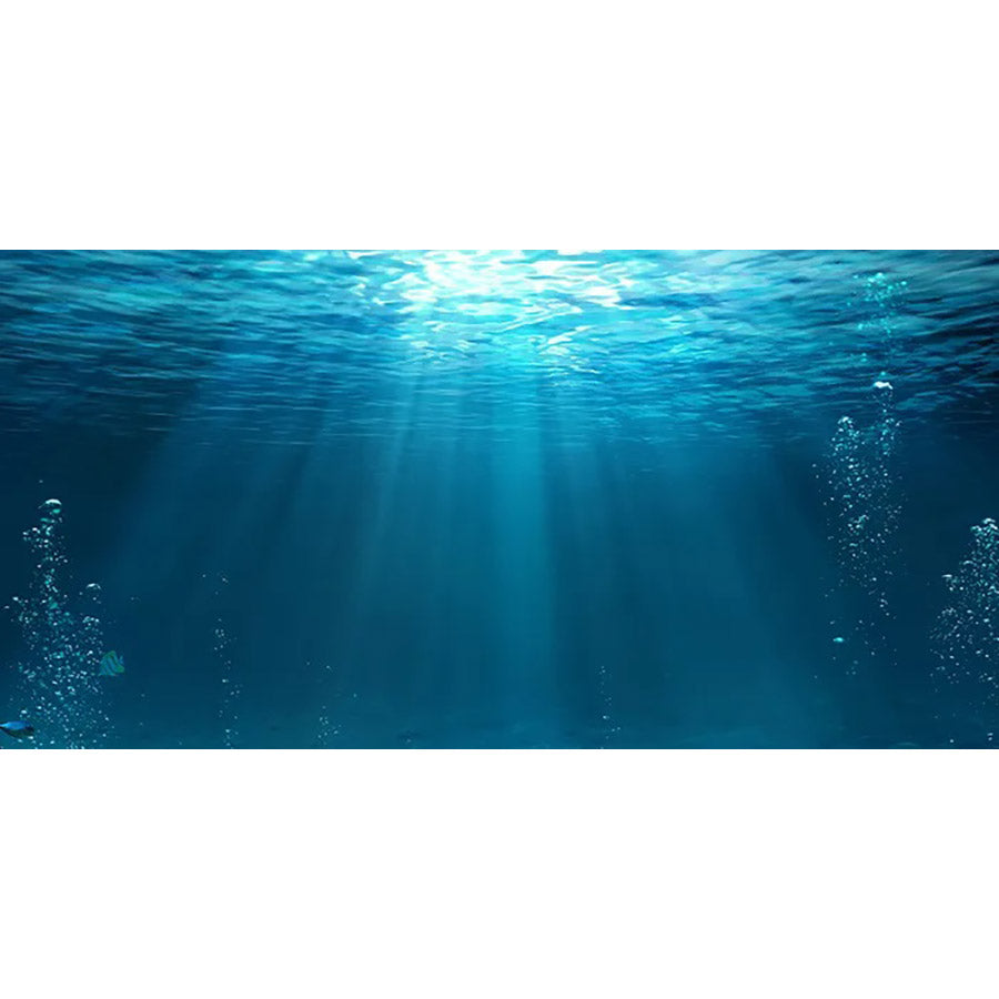 Underwater - High Gloss Picture Background - (60,90,120cm wide options)