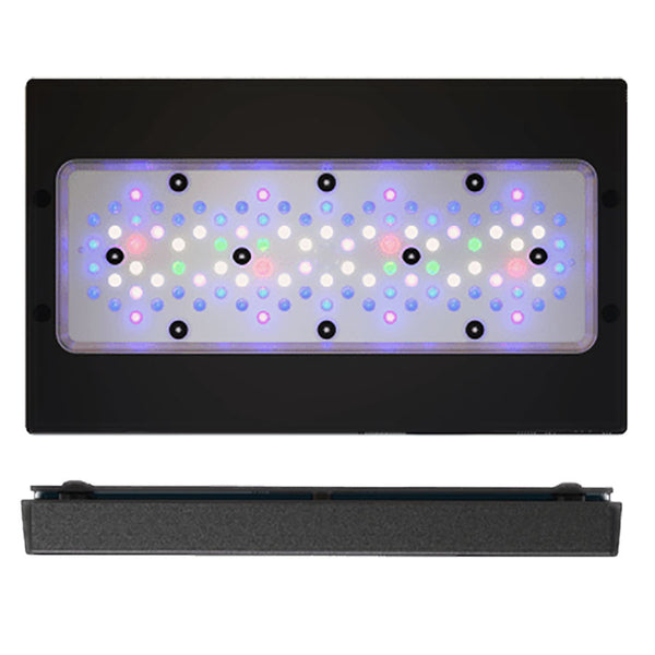 XR30Gen6Pro_600x.jpg?v=1656465326