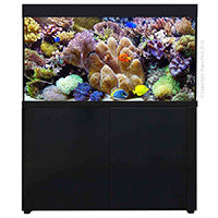 New Marine Tank