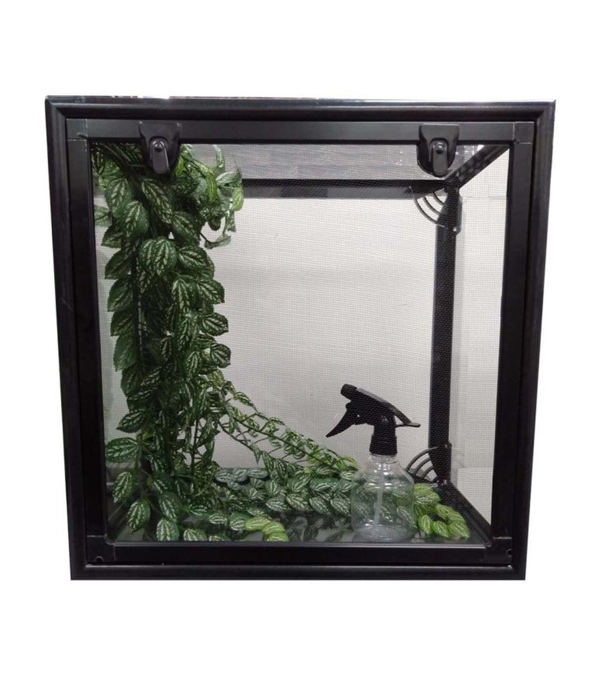 URS Budget Stick Insect Package (45x45x30cm) - In Store Pickup Only