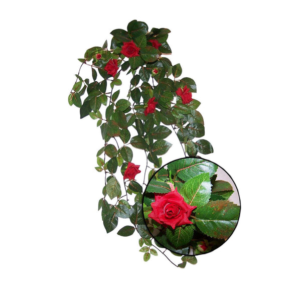 URS Red Rose Leaf Plant - The Tech Den