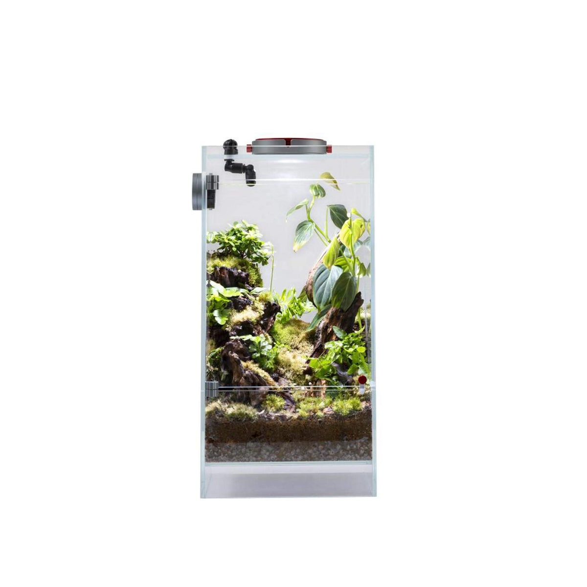 LEDSTAR AQ-F20 Infinity Hylaea All-in-One Terrarium Kit (20x20x40cm) - In store Pick up Only**