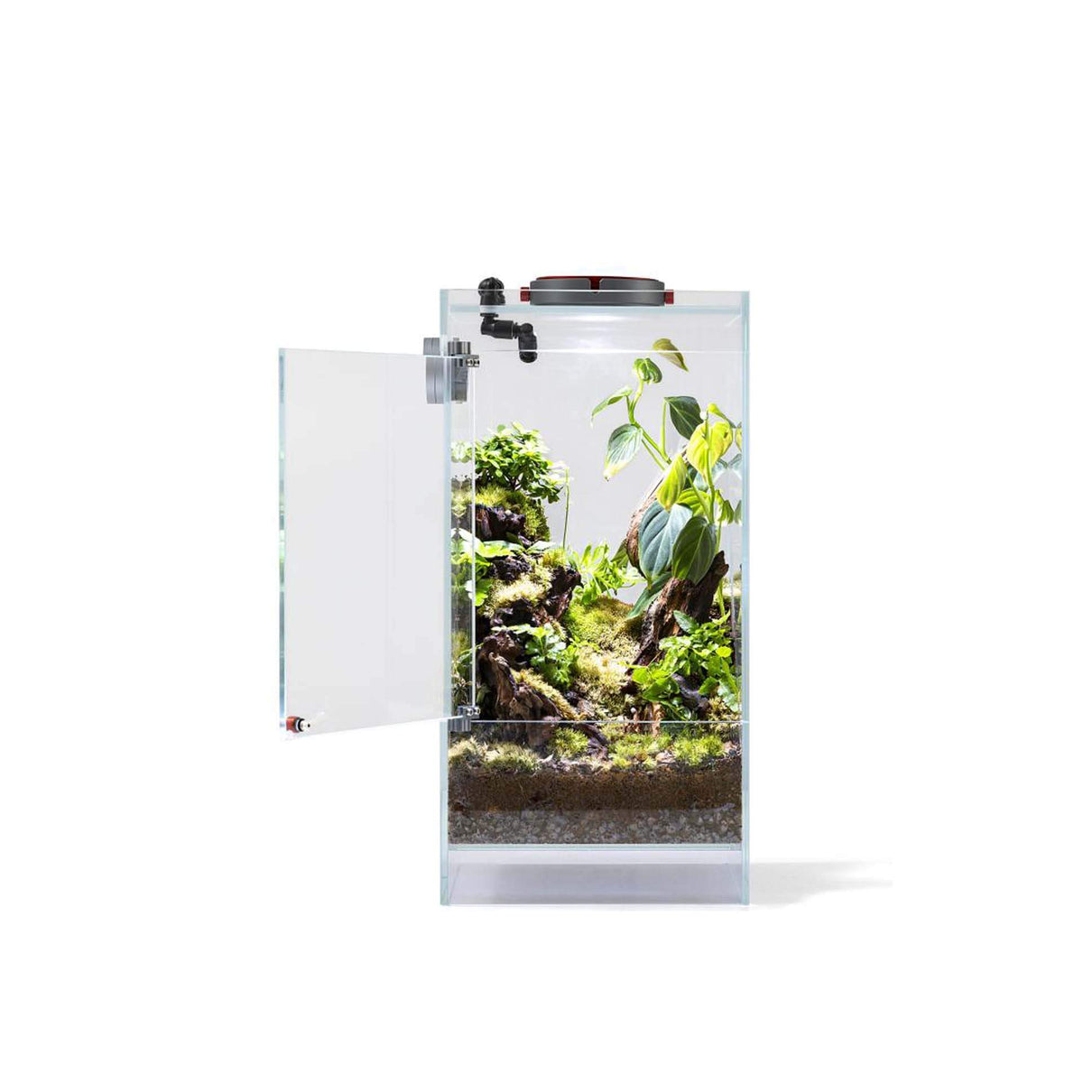 LEDSTAR AQ-F20 Infinity Hylaea All-in-One Terrarium Kit (20x20x40cm) - In store Pick up Only**