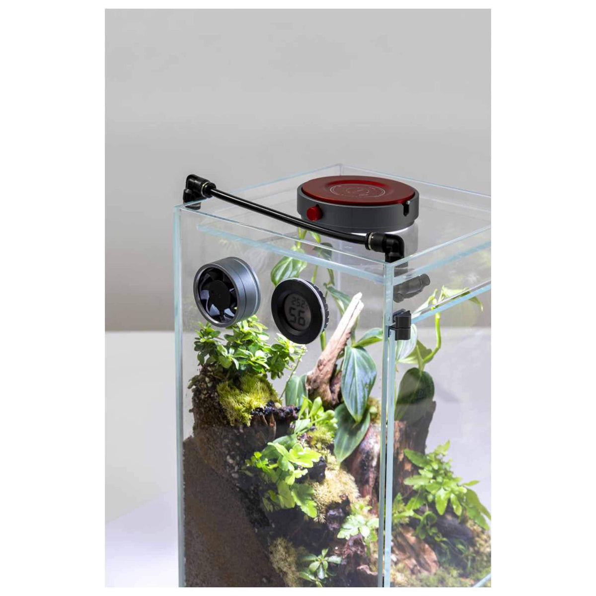 LEDSTAR AQ-F20 Infinity Hylaea All-in-One Terrarium Kit (20x20x40cm) - In store Pick up Only**