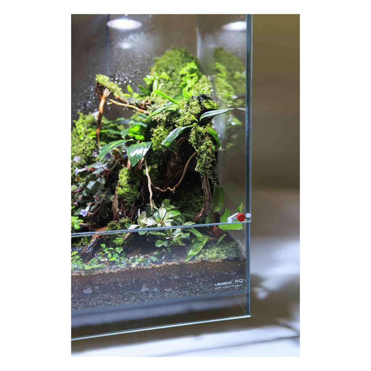 LEDSTAR AQ-F30 Infinity Hylaea All-in-One Terrarium Kit (30x30x50cm) - In store Pick up Only**