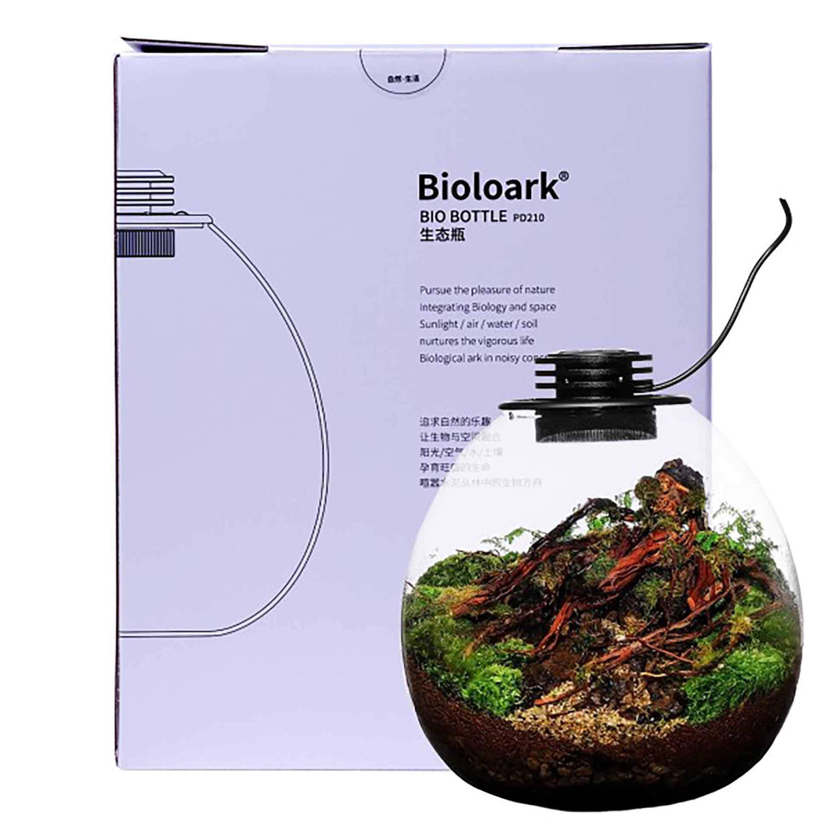 Bioloark 210 Nano Moss Terrarium - Rounded Wide 21.5 x 24cm 5w - In Store Pick Up Only