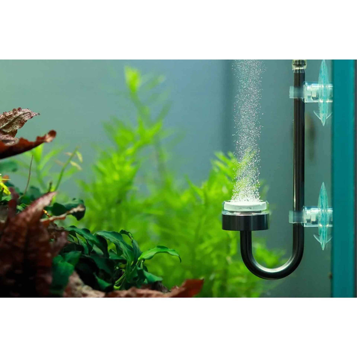 AquaLabs Micro Mist CO2 Intank Diffuser