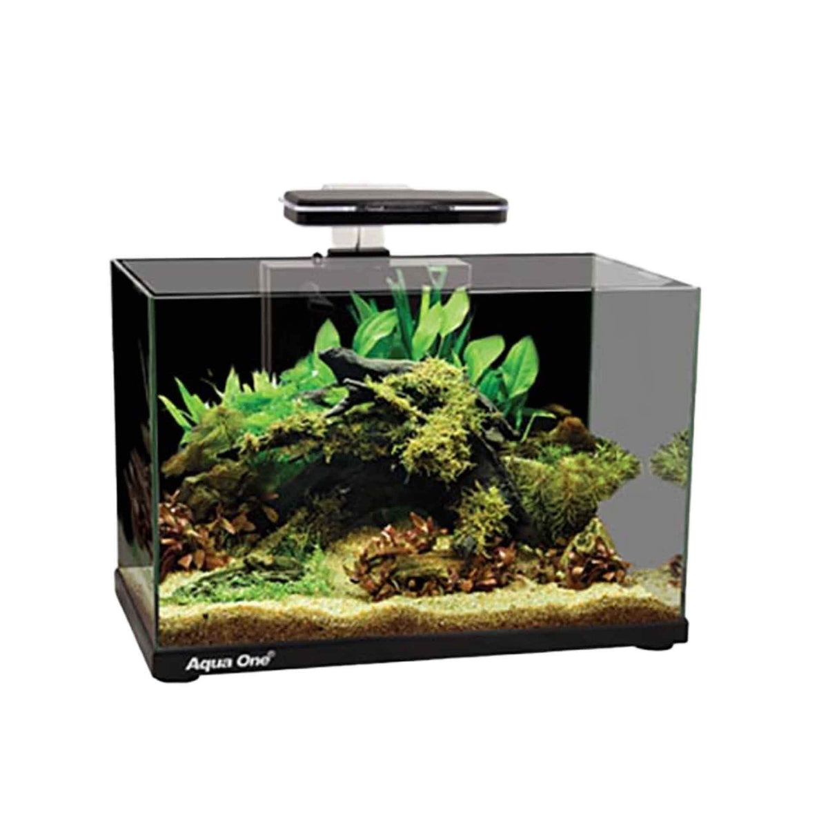 Aqua One Focus 23 Black Aquarium with Light and Filter
