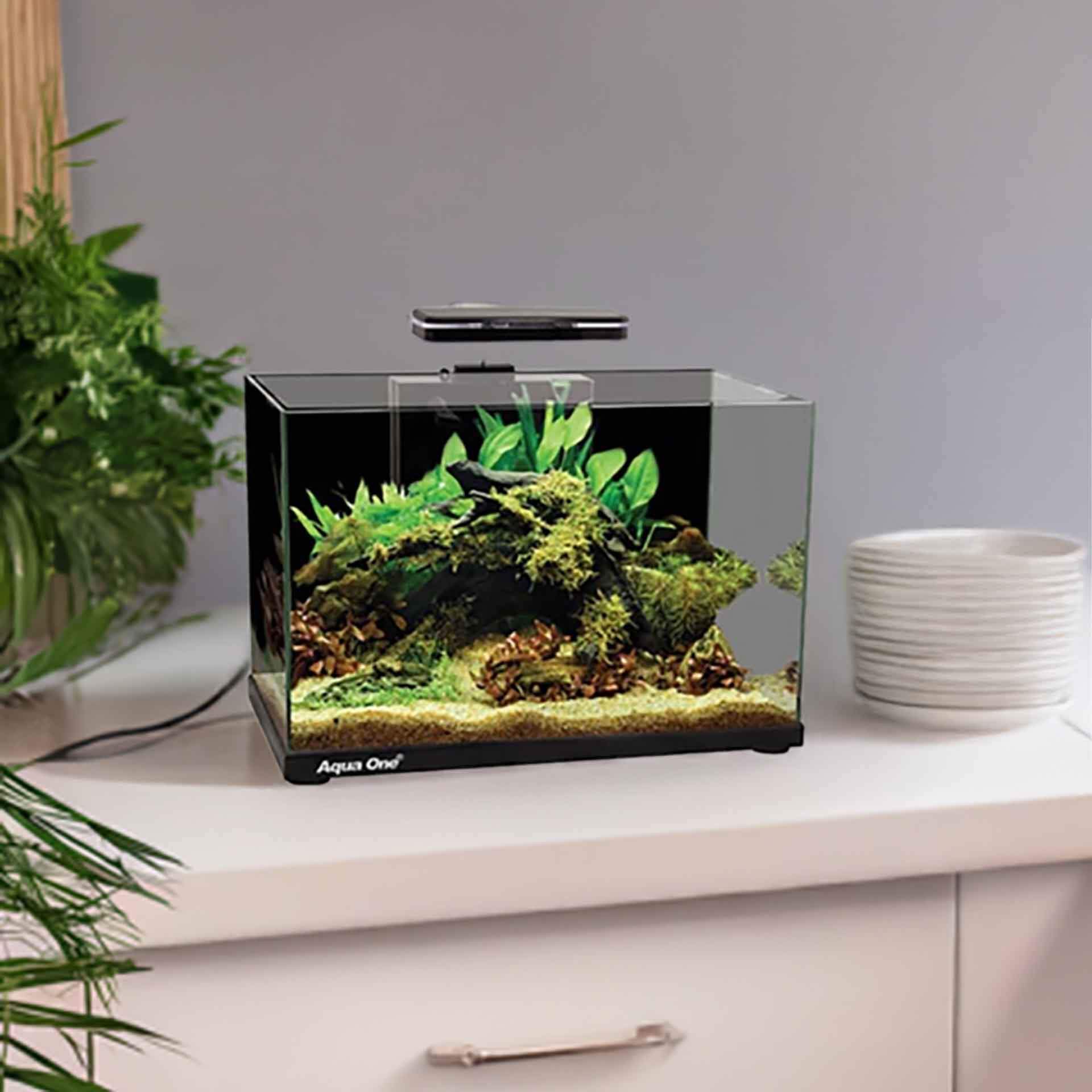 Aqua One Focus 23 Black Aquarium with Light and Filter - In Store