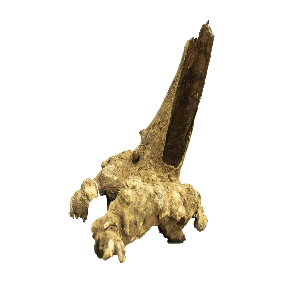 Dalua Coral Wood Medium - In Store Pick Up Only