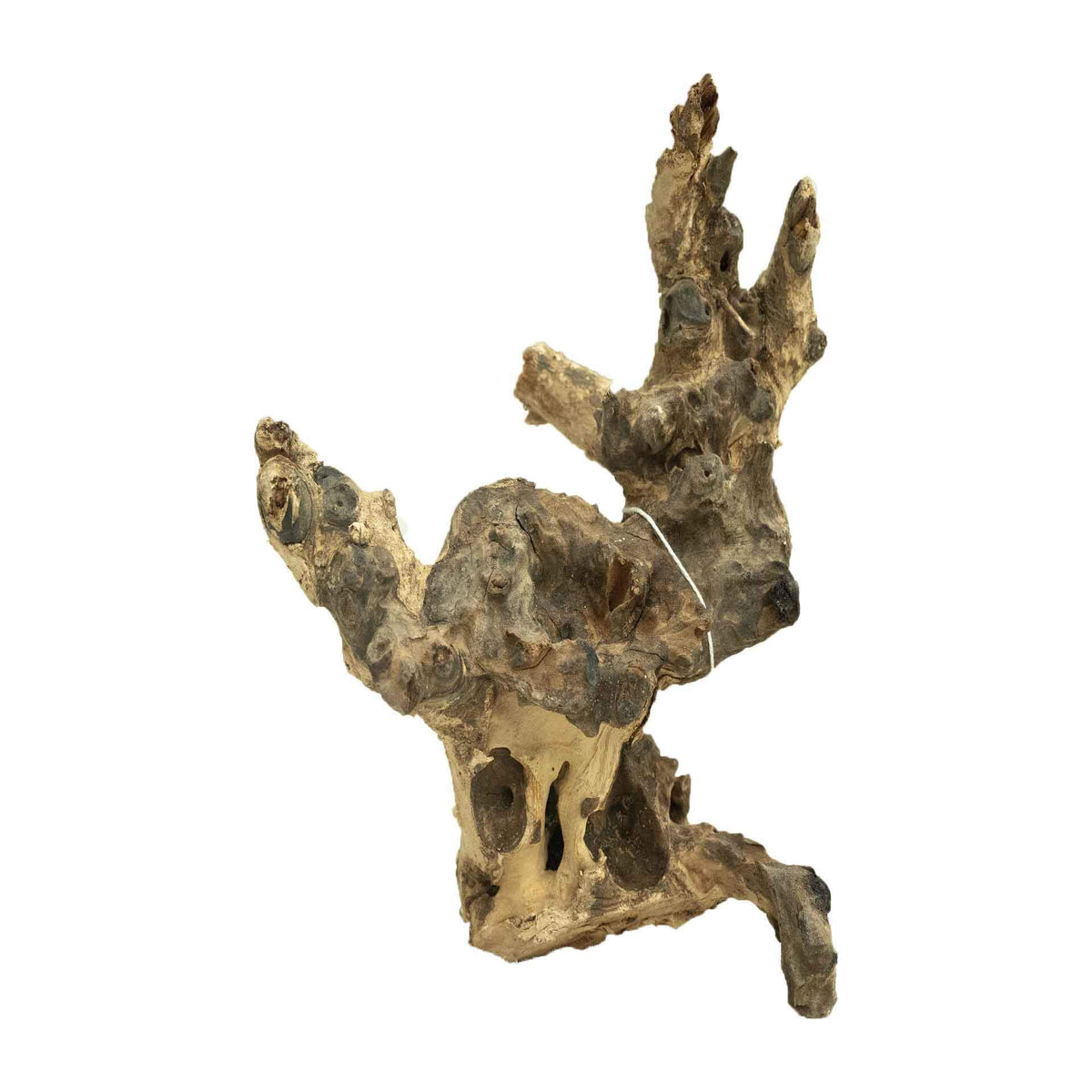 Dalua Coral Wood Small - In Store Pick Up Only