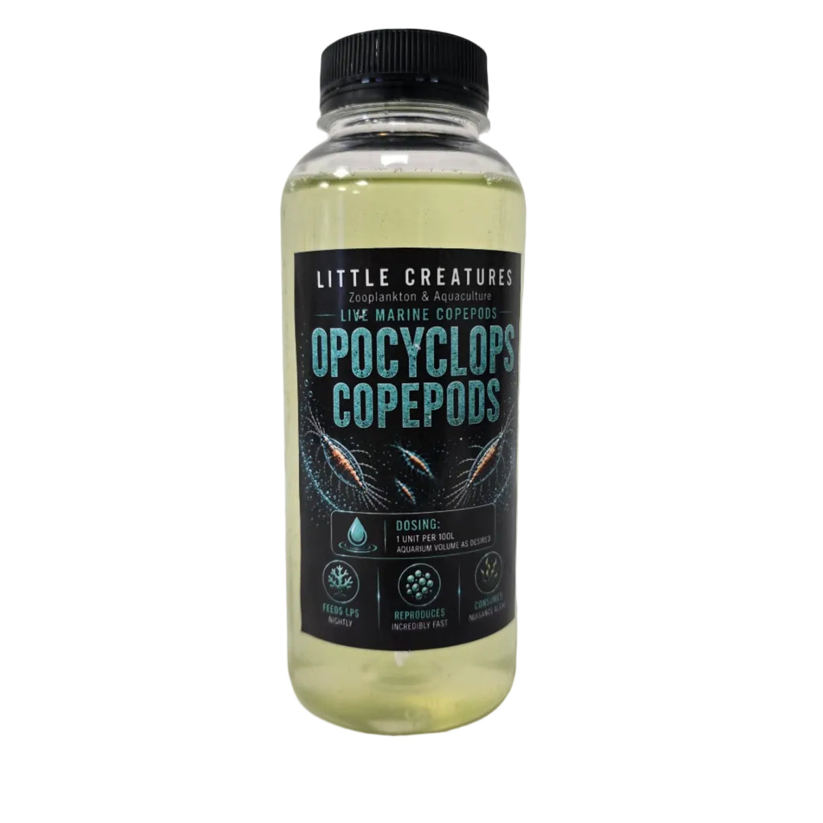 Little Creatures Opocyclops Copepods - Live Food - Instore Pick Up Only