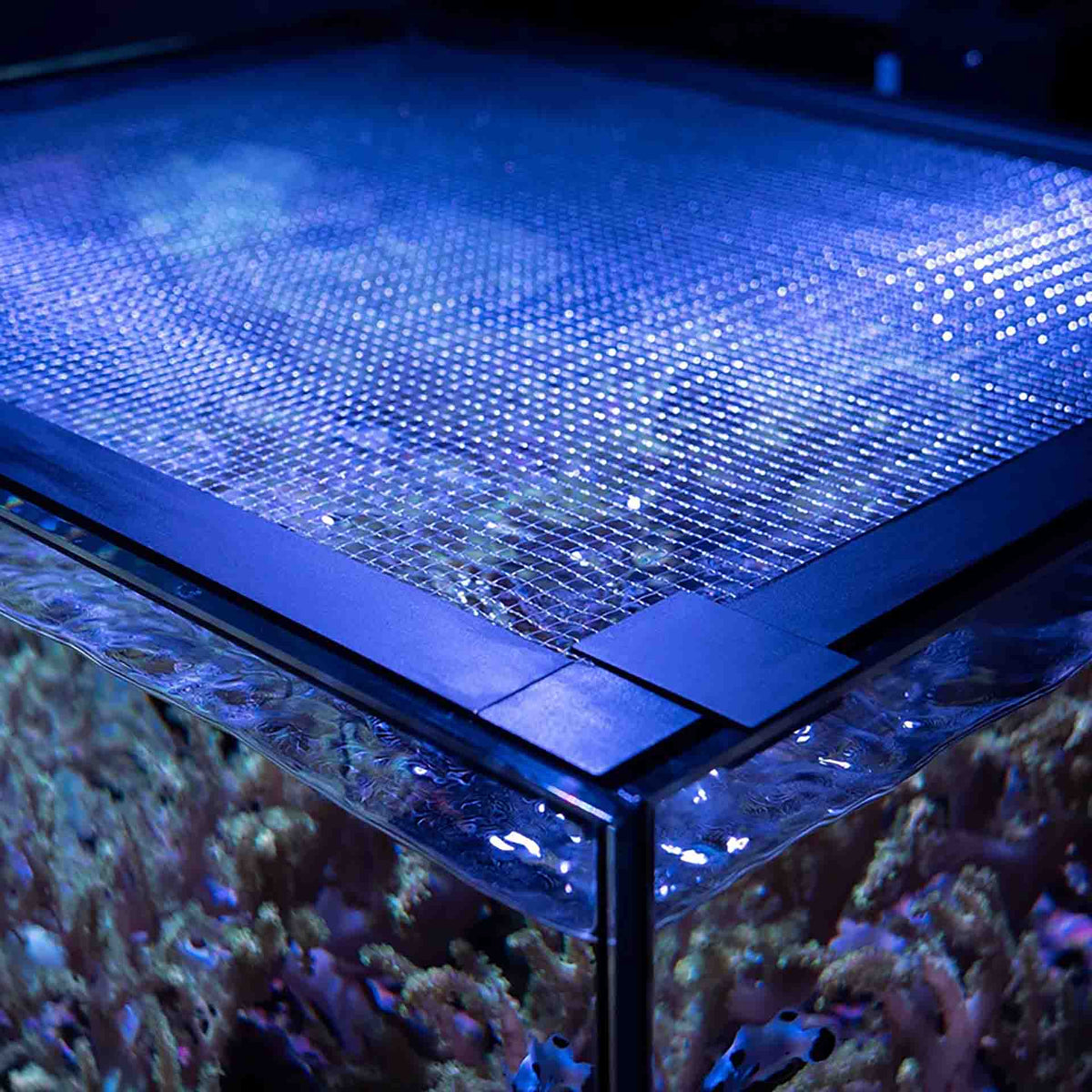 Waterbox Mesh Lid suited for Waterbox Cube 20 Aquarium