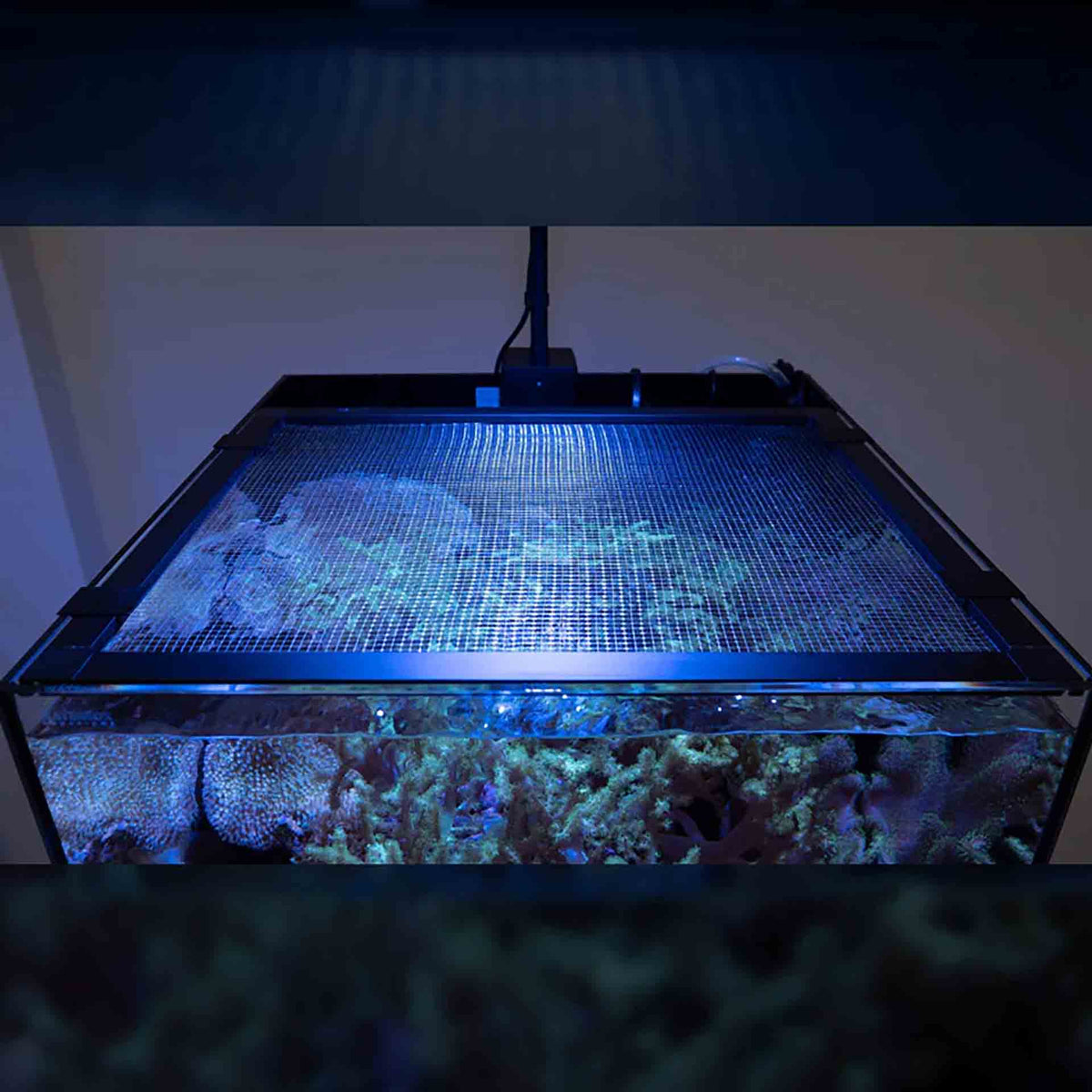 Waterbox Mesh Lid suited for Waterbox Cube 20 Aquarium