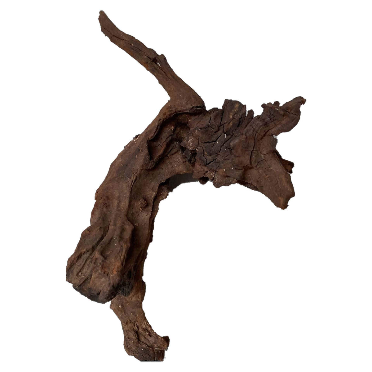 Dymax Driftwood Nano - In Store Pick Up Only