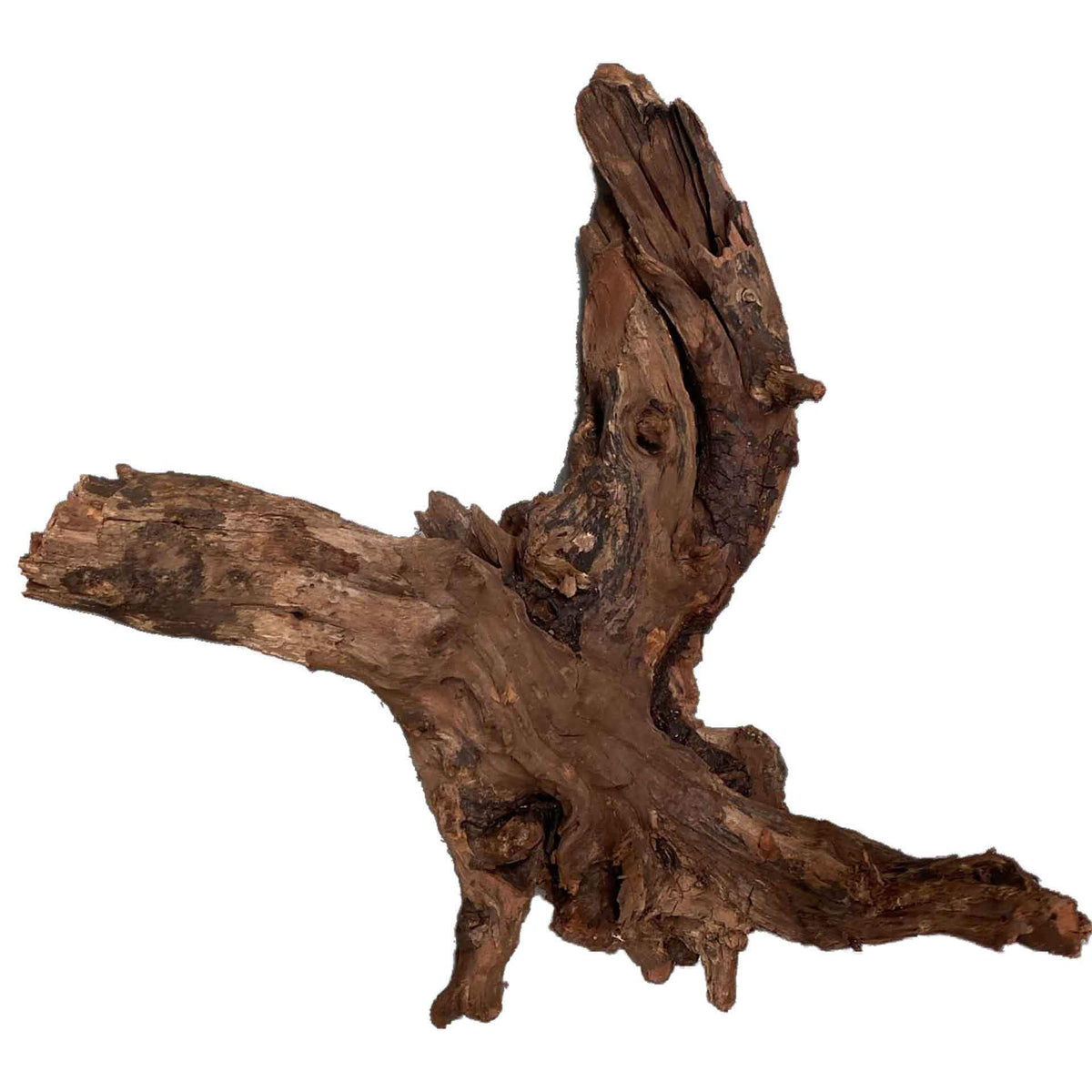 Dymax Driftwood Medium - In Store Pick Up Only