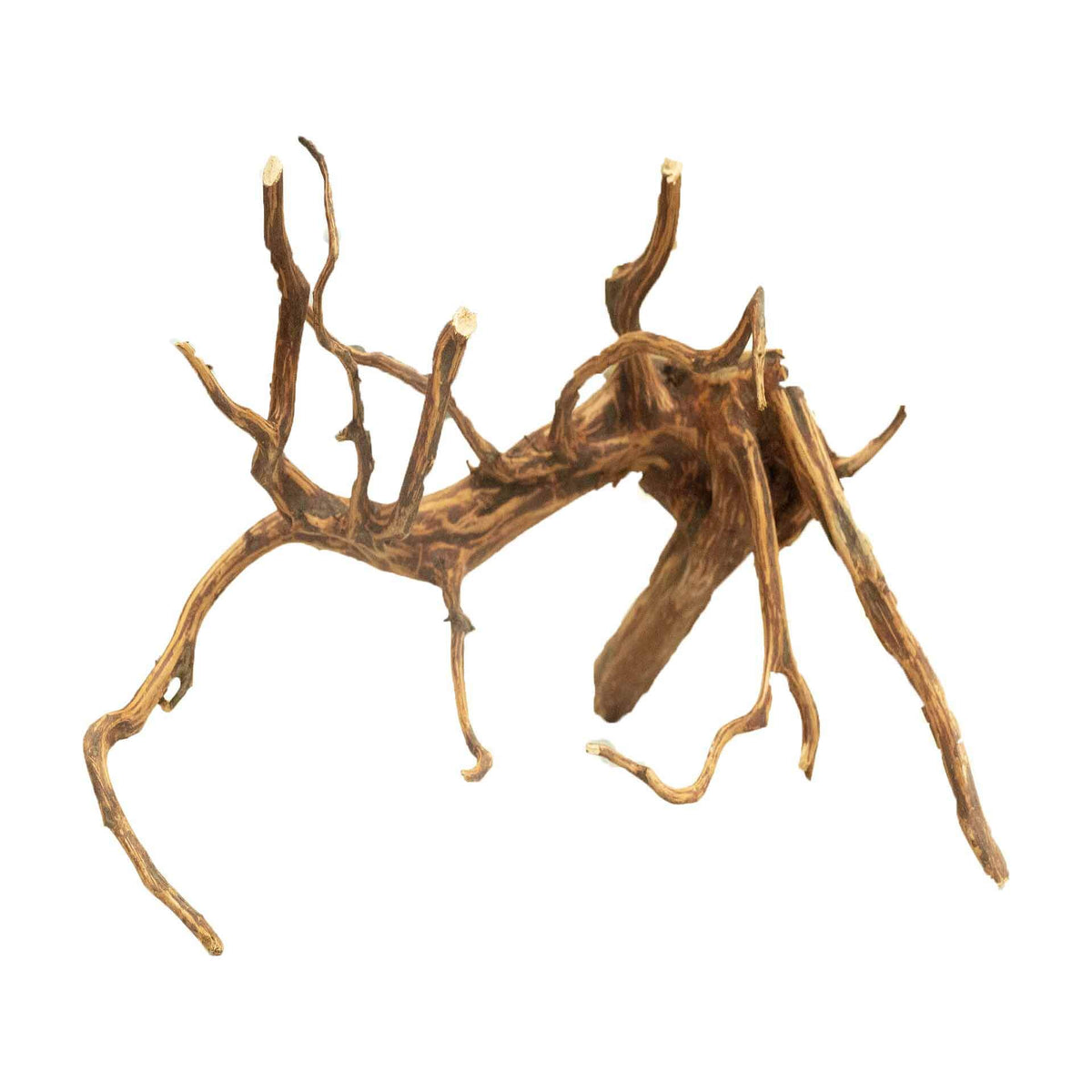 Dalua Tiger Forest Wood XXXL- In Store Pick Up Only