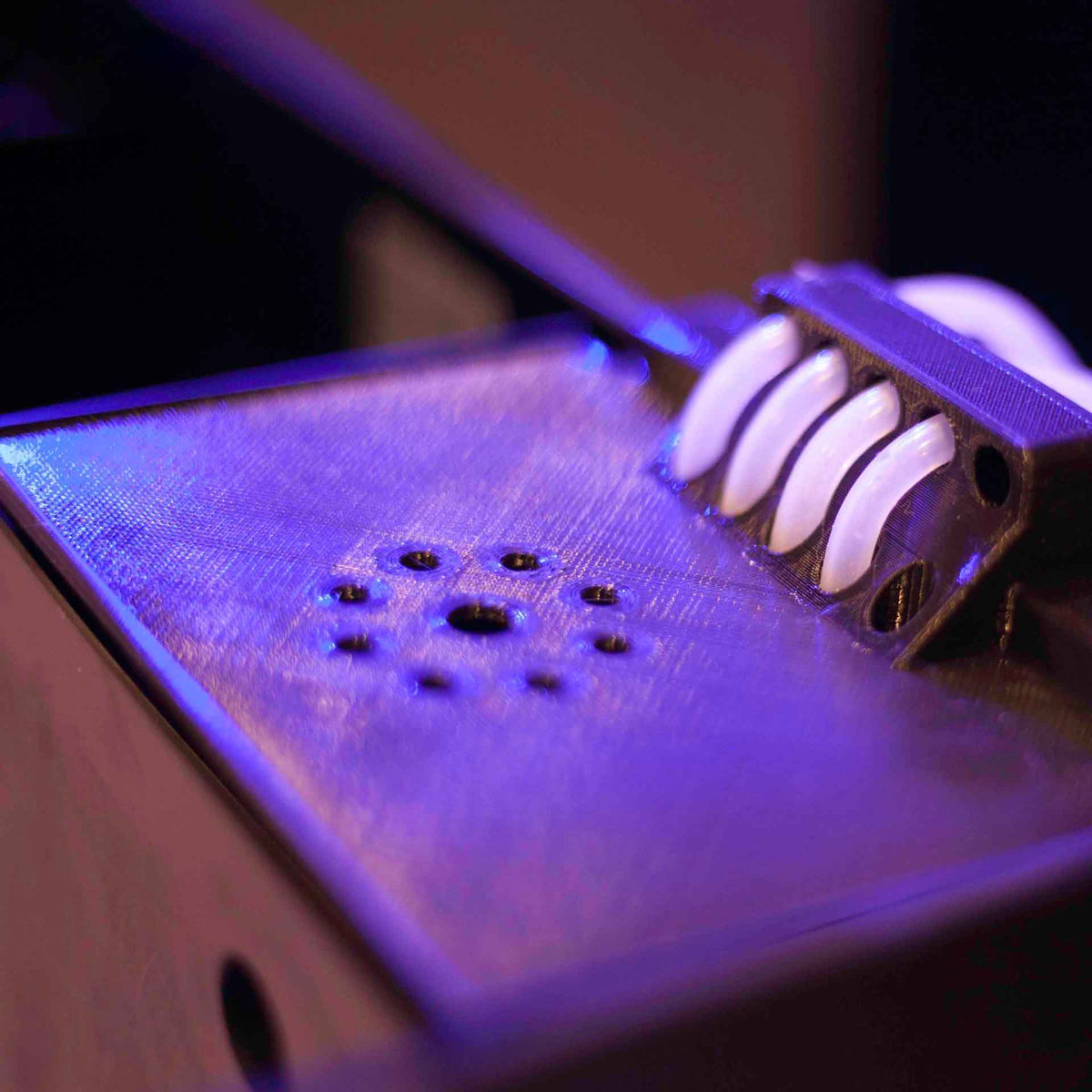 Betapet Drain Cover with Dosing Holes - Suited for WaterBox Cube 20 Aquarium