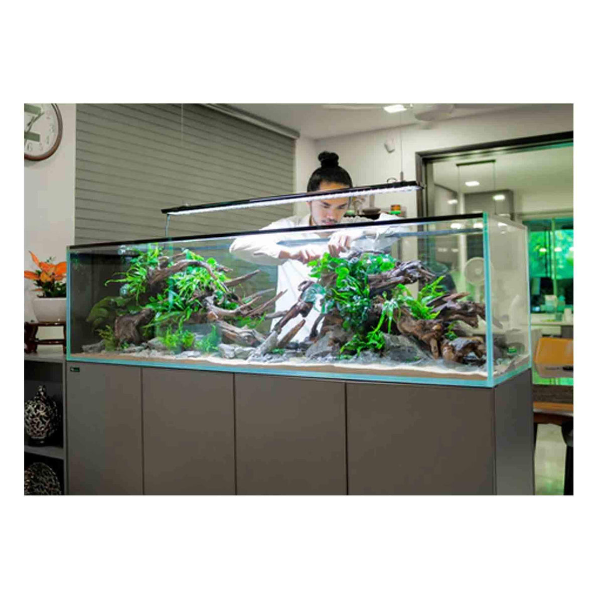 Dymax GS Series Aquarium 180x50x55cm (15mm thick glass) - In Store Pick Up Only ** - Special Order