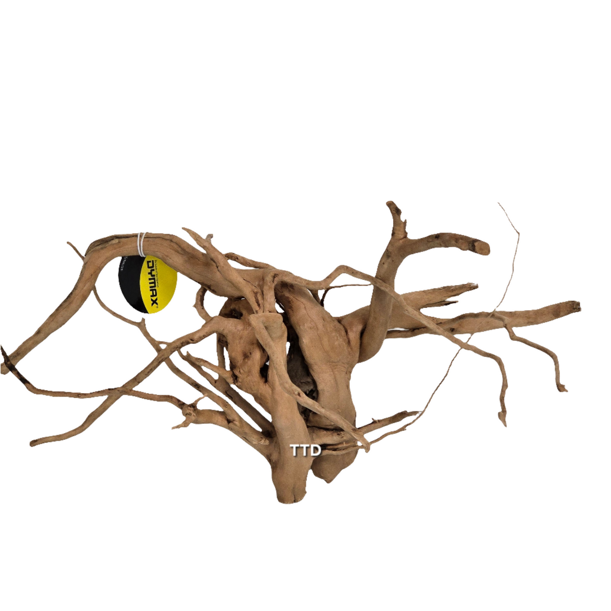 Dymax Tweety Wood Medium - In Store Pick Up Only