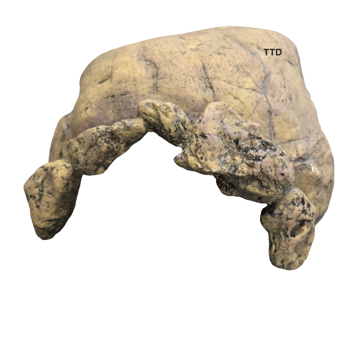 Exo Terra Reptile Cave Tortoise XXXL - 41 x 29 x 20.5 cm