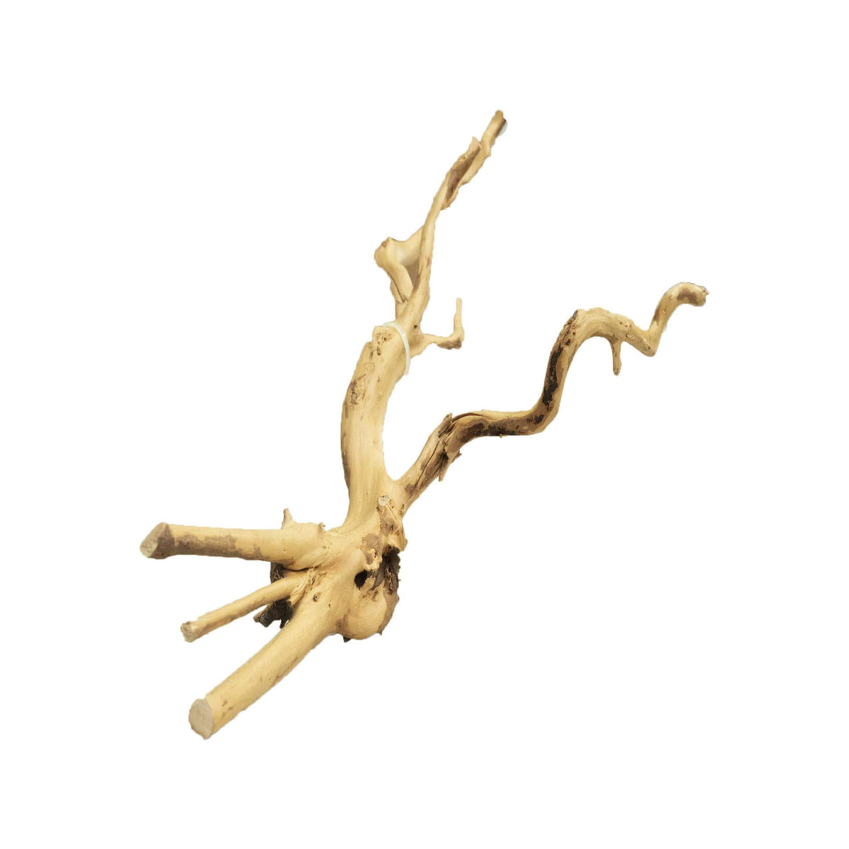 Dalua Gold Forest Wood Small - In Store Pick Up Only